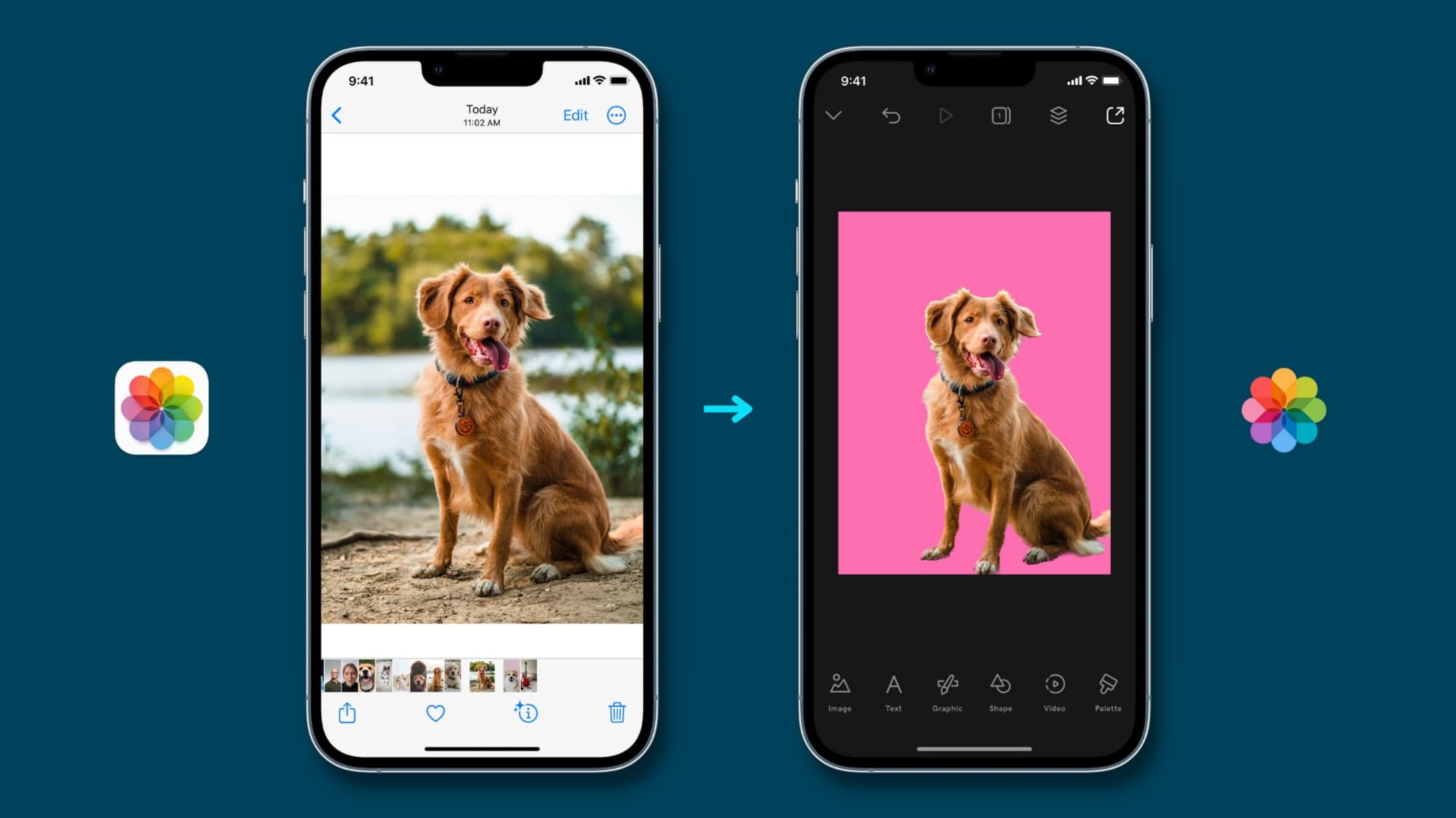 Removing Background On IPhone 13 Photos – Step-by-Step
