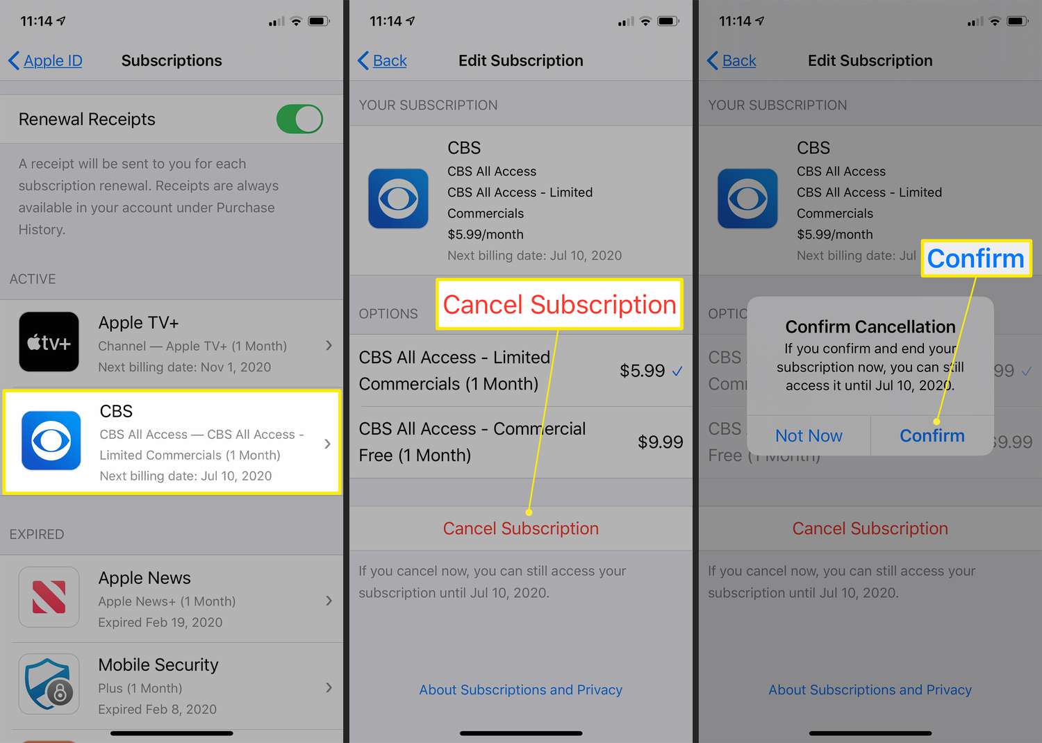 Subscription Management: Cancelling ICloud Storage Subscription On IPhone 10