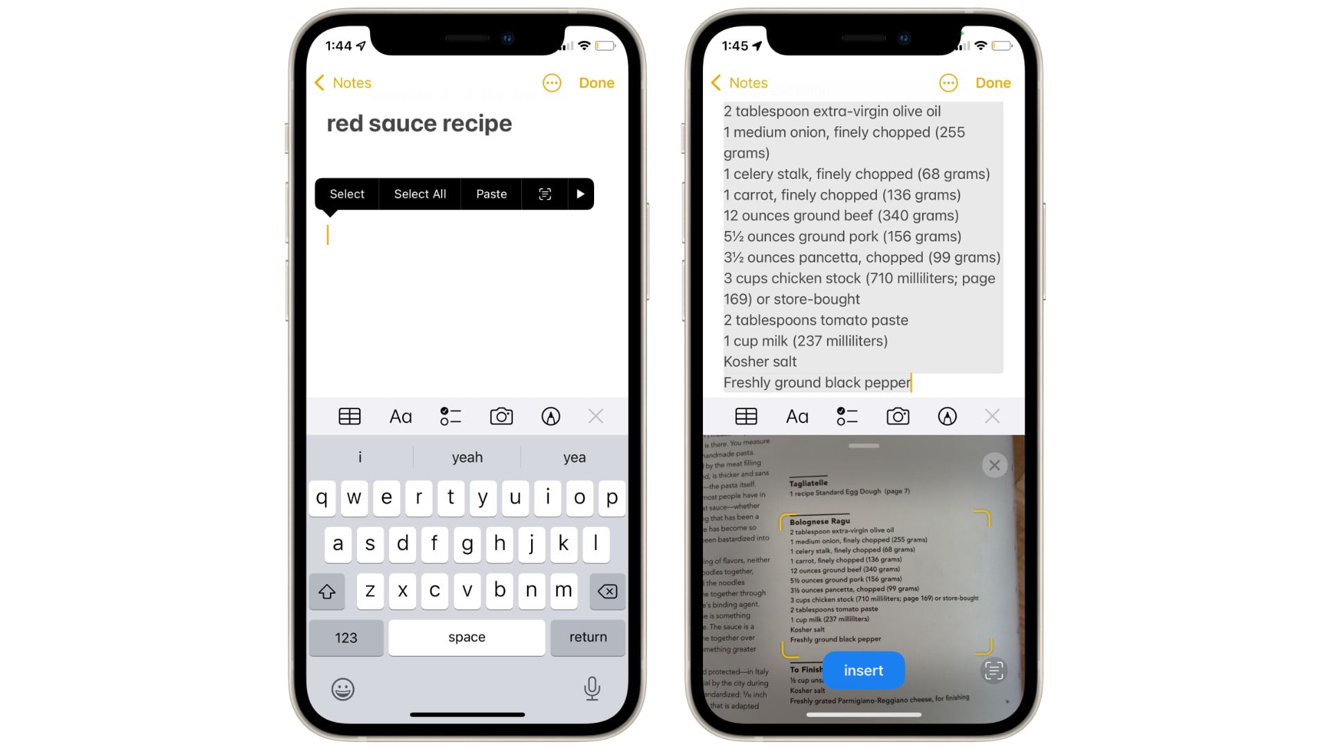 text-copying-techniques-a-guide-for-iphone-10