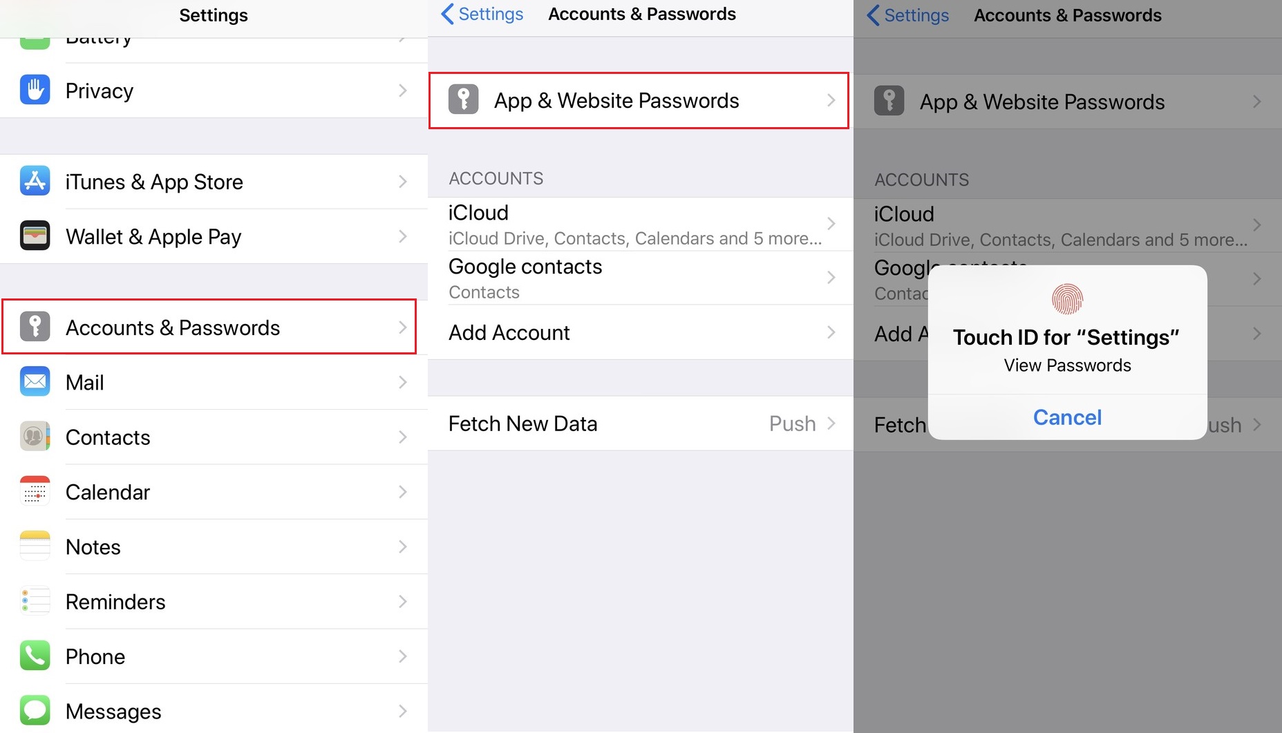 Updating Email Security: Changing Password On IPhone 13