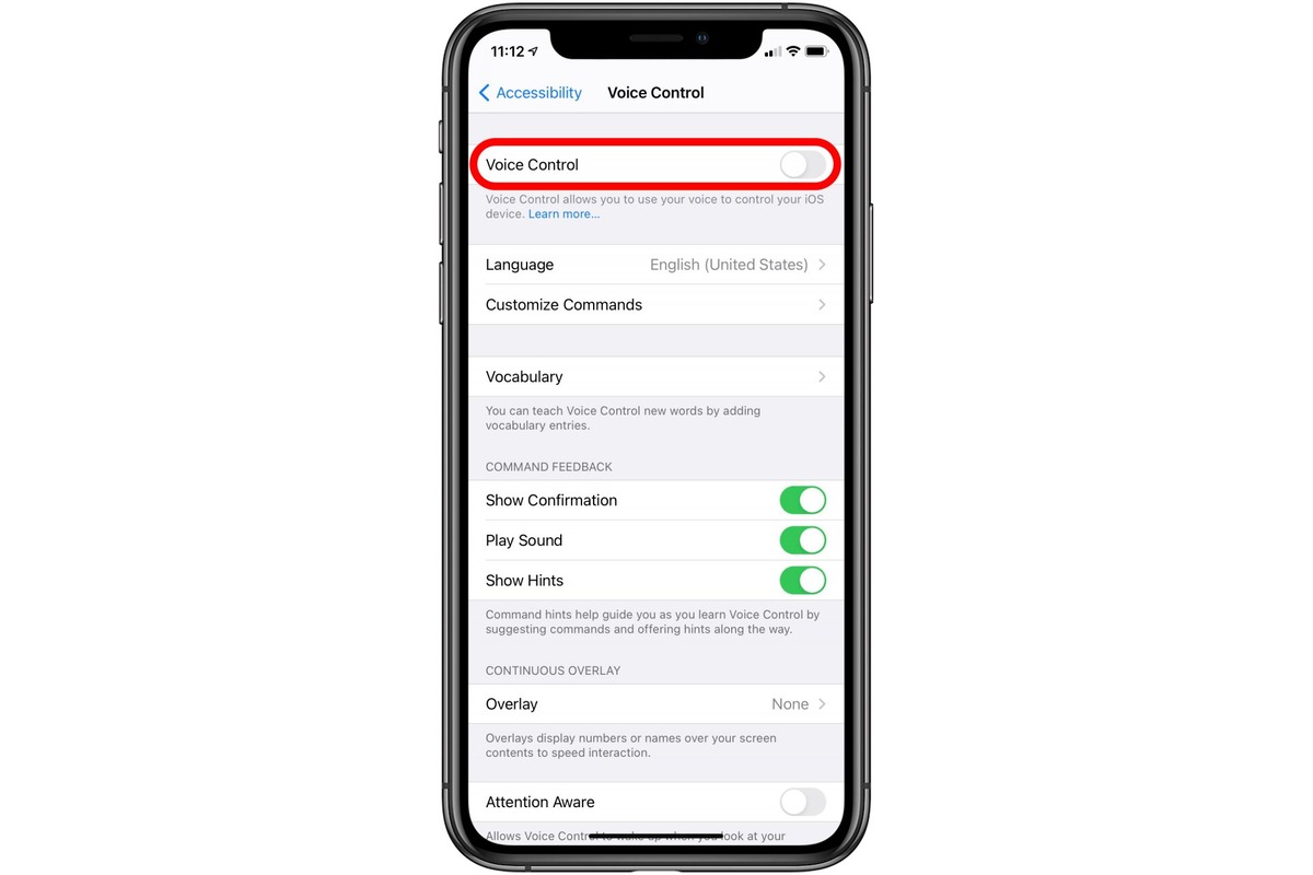 voice-deactivation-turning-off-voice-on-iphone-10