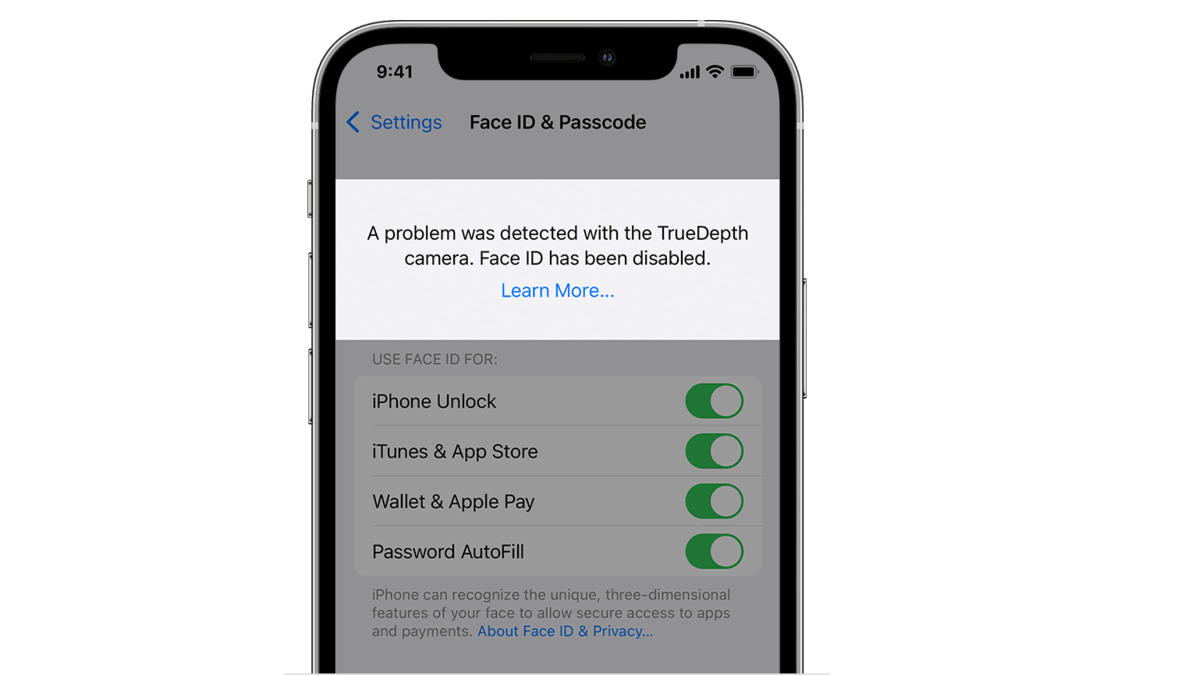 Privacy Concerns? Turning Off Face ID On IPhone 12
